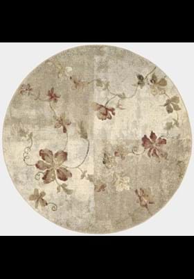 Nourison ST-64 Multicolor