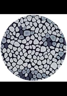 Safavieh SOH722A Grey Ivory