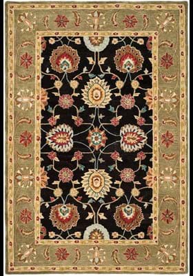 Safavieh AN561C Black Green