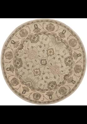 Safavieh AN586G Beige Beige