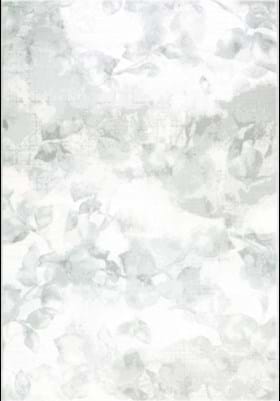 Dynamic Rugs 12134 902 Silver