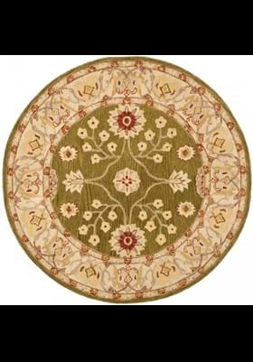 Safavieh AN562D Moss Ivory