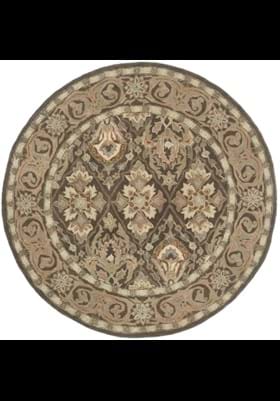 Safavieh AN587C Brown Beige