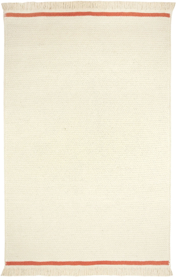 Capel Rookie Oats Sunny