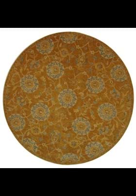 Safavieh AN537C Gold Blue