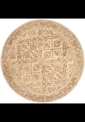 Safavieh AN583C Ivory Grey