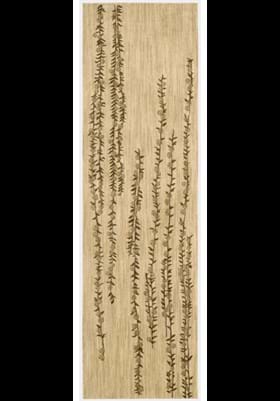 Nourison LK-04 Beige