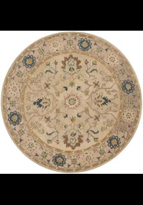 Safavieh AN585B Ivory Beige