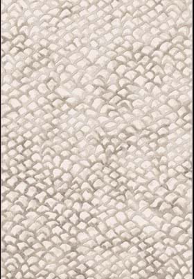 Dynamic Rugs 64194 8565 Ivory