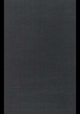 Surya M-341 Charcoal