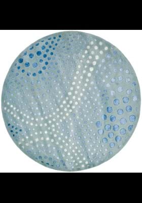 Safavieh SOH654B Light Blue