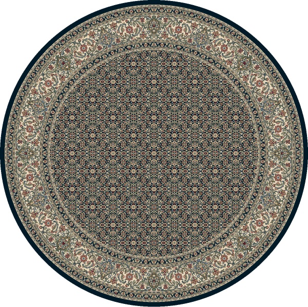 Dynamic Rugs 57011 3464 Navy