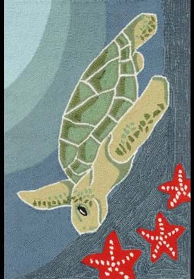 Trans Ocean Sea Turtle 143104 Ocean