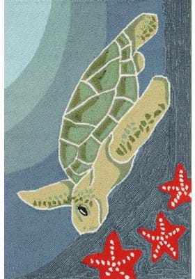 Trans Ocean Sea Turtle 143104 Ocean